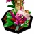 Конструктор Lego Ideas 21342 Насекомые Конструктор Lego Ideas 21342 Насекомые