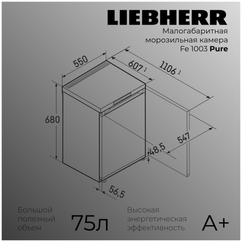 Морозильный шкаф Liebherr FE 1003