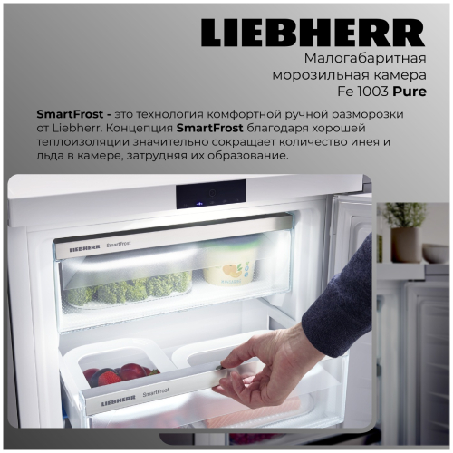 Морозильный шкаф Liebherr FE 1003