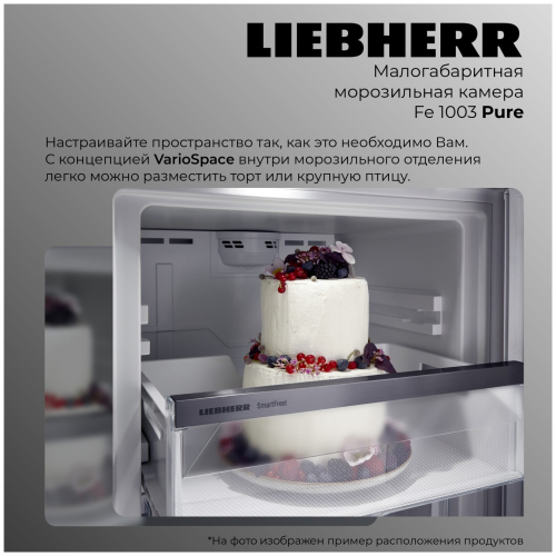 Морозильный шкаф Liebherr FE 1003